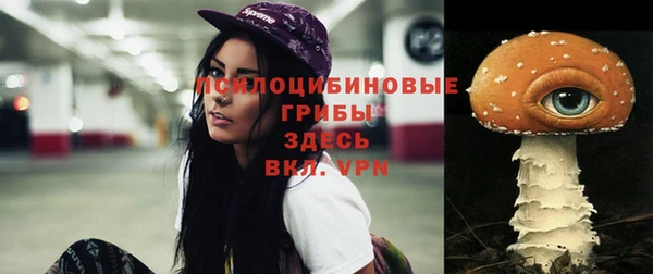 COCAINE Михайлов