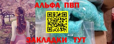 гашик Тверь