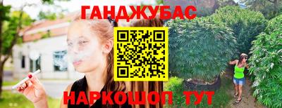 гашик Тверь