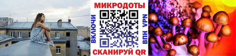 Псилоцибиновые грибы Cubensis  Череповец 