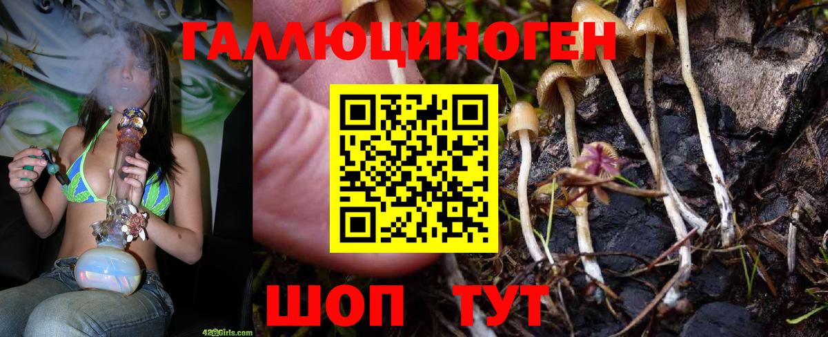 Псилоцибиновые грибы ЛСД Череповец